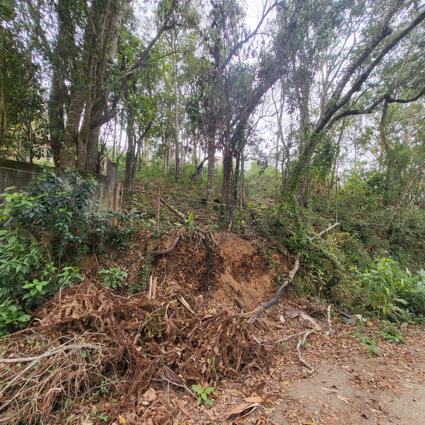 Terreno à venda, 495m² - Foto 3