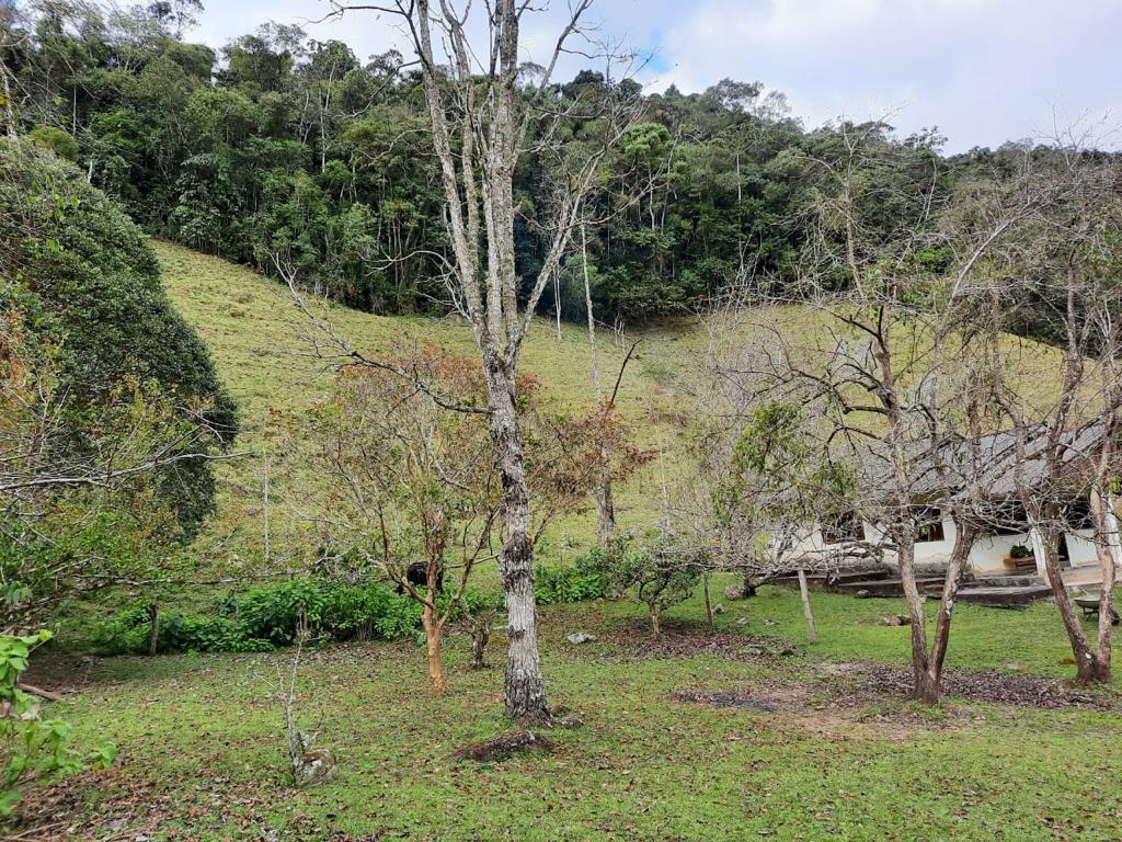 Chácara à venda - Foto 6